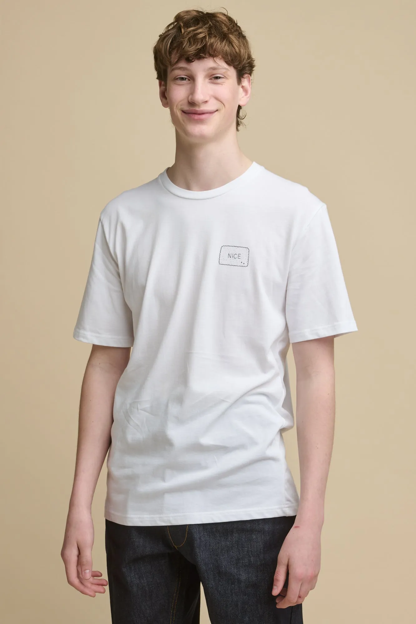 Men's Short Sleeve Graphic T Shirt - Nice